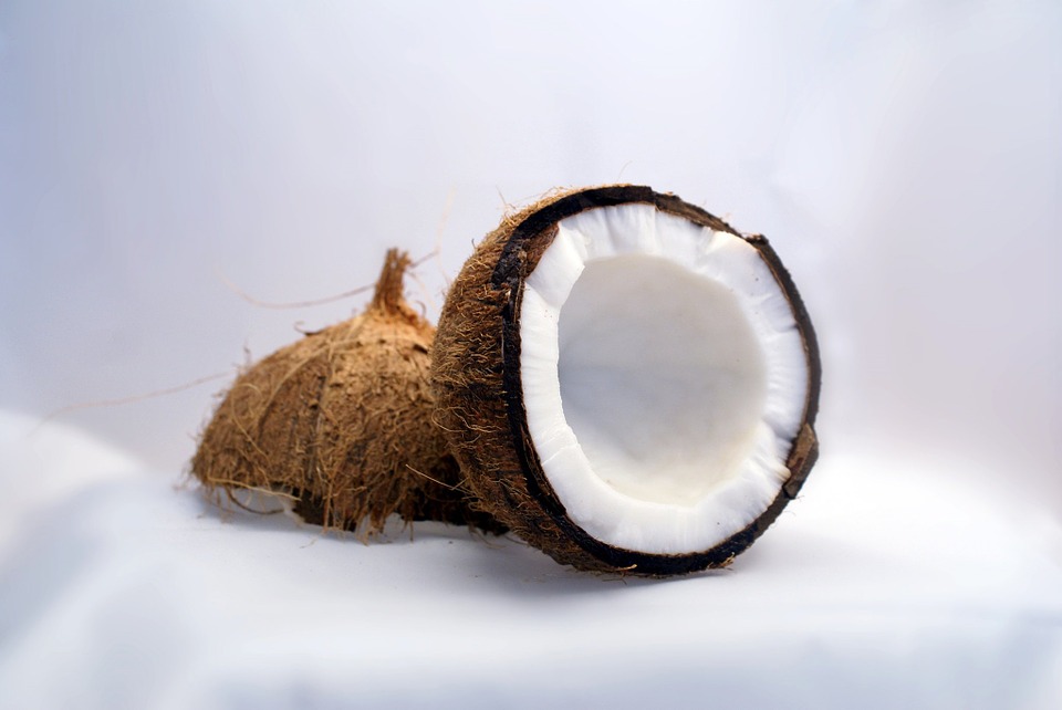 Fosse septique coco et noix de coco